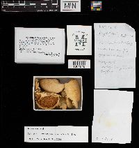 thumbnail image of current specimen