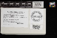 Image Associated With the Occurrence