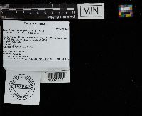 Media resource of Daedaleopsis confragosa