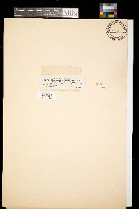 Image Associated With the Occurrence