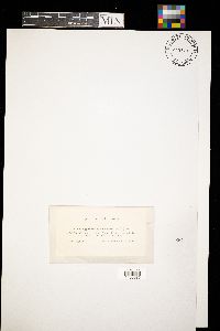 Image Associated With the Occurrence