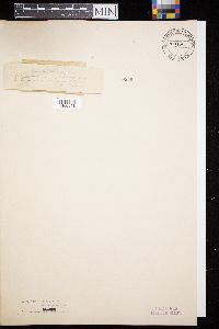 Image Associated With the Occurrence