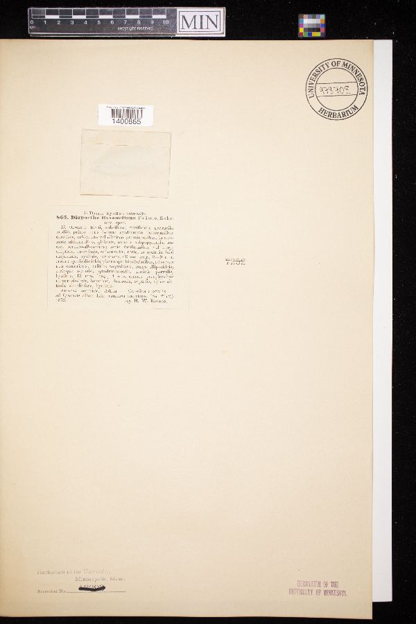 Amphiporthe raveneliana image