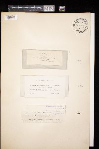 Image Associated With the Occurrence