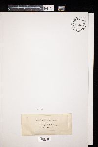 Image Associated With the Occurrence