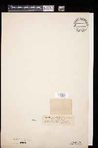 Image Associated With the Occurrence