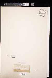 Image Associated With the Occurrence