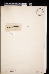 Image Associated With the Occurrence