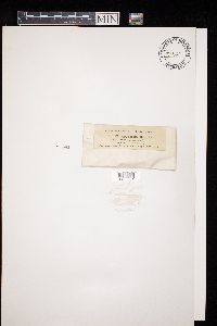 Image Associated With the Occurrence