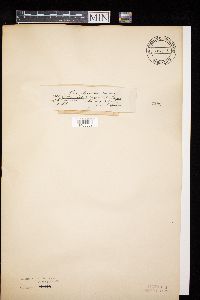 Image Associated With the Occurrence