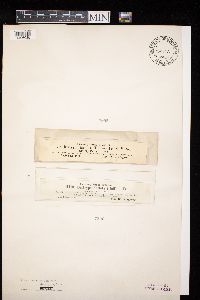 Image Associated With the Occurrence