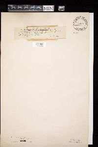 Image Associated With the Occurrence