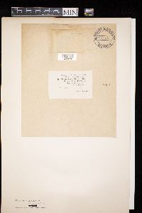 Image Associated With the Occurrence