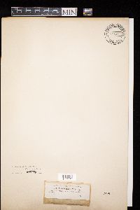 Image Associated With the Occurrence