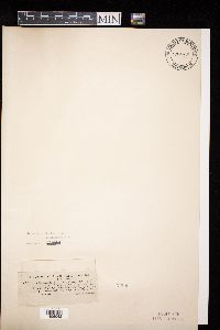 Image Associated With the Occurrence