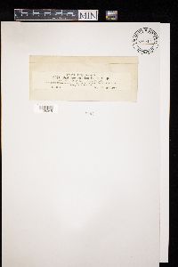 Image Associated With the Occurrence