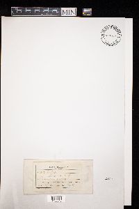 Image Associated With the Occurrence