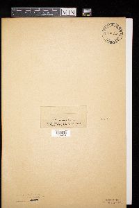 Image Associated With the Occurrence