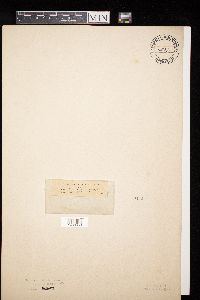 Image Associated With the Occurrence