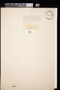 Image Associated With the Occurrence