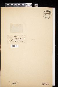 Image Associated With the Occurrence