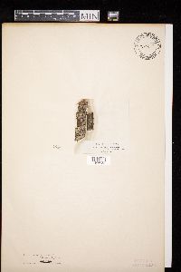 Image Associated With the Occurrence