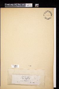 Image Associated With the Occurrence