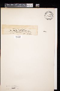 Image Associated With the Occurrence