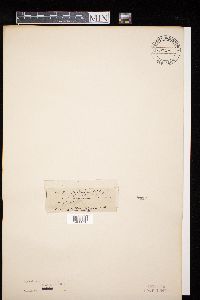 Image Associated With the Occurrence