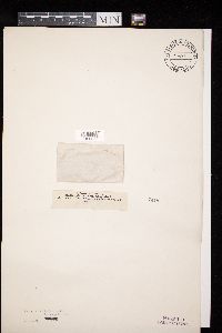 Image Associated With the Occurrence