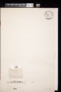 Image Associated With the Occurrence