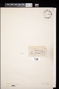 Image Associated With the Occurrence