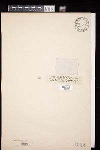 Image Associated With the Occurrence