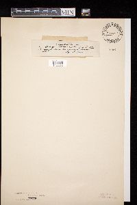 Image Associated With the Occurrence