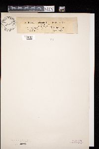 Image Associated With the Occurrence