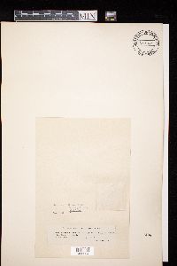 Image Associated With the Occurrence