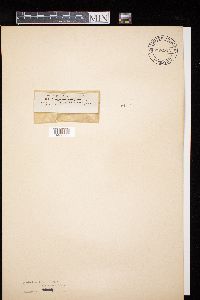 Image Associated With the Occurrence