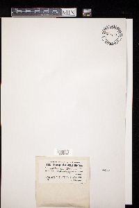 Image Associated With the Occurrence