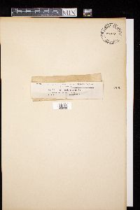 Image Associated With the Occurrence