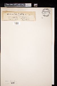 Image Associated With the Occurrence