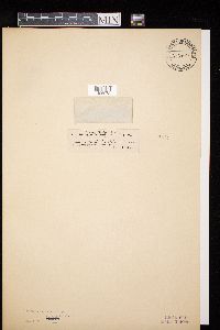 Image Associated With the Occurrence