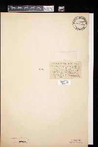 Image Associated With the Occurrence