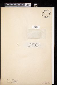 Image Associated With the Occurrence