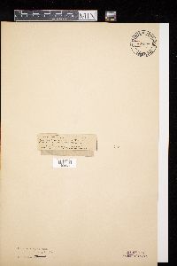 Image Associated With the Occurrence