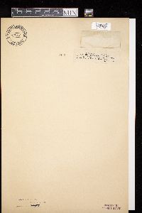 Image Associated With the Occurrence