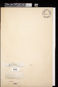 Image Associated With the Occurrence