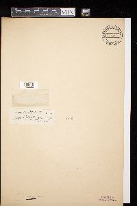 Image Associated With the Occurrence