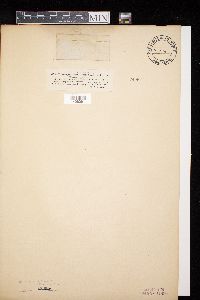 Image Associated With the Occurrence