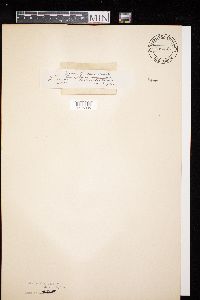 Image Associated With the Occurrence