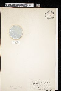 Image Associated With the Occurrence